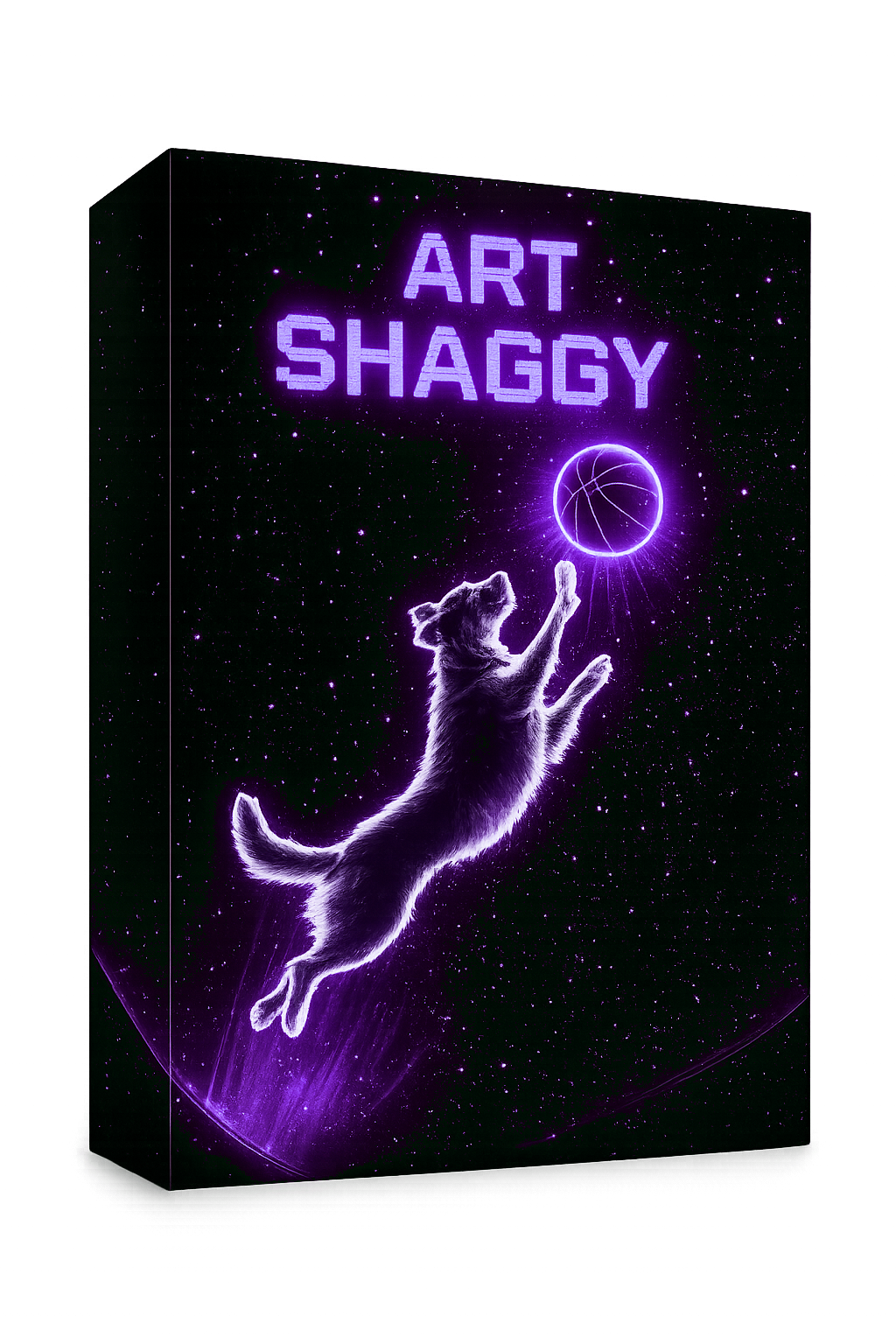 V2 Shaggy
